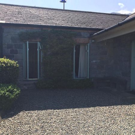 Wood Quay - A Truly Unique, Seafront Experience! Carlingford Exterior foto